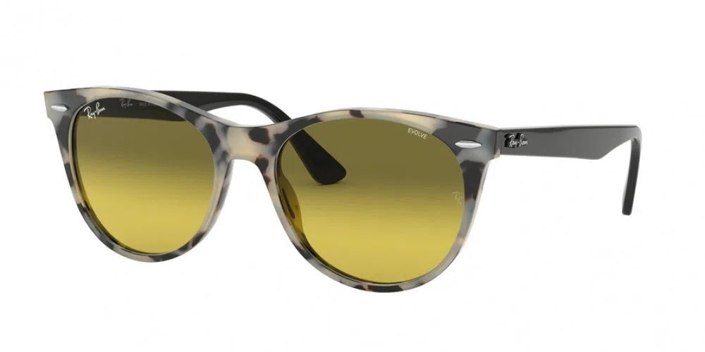 Ray-Ban Wayfarer Ii 2185 Sunglasses - Havana On Trasparent Light Bro - view 93